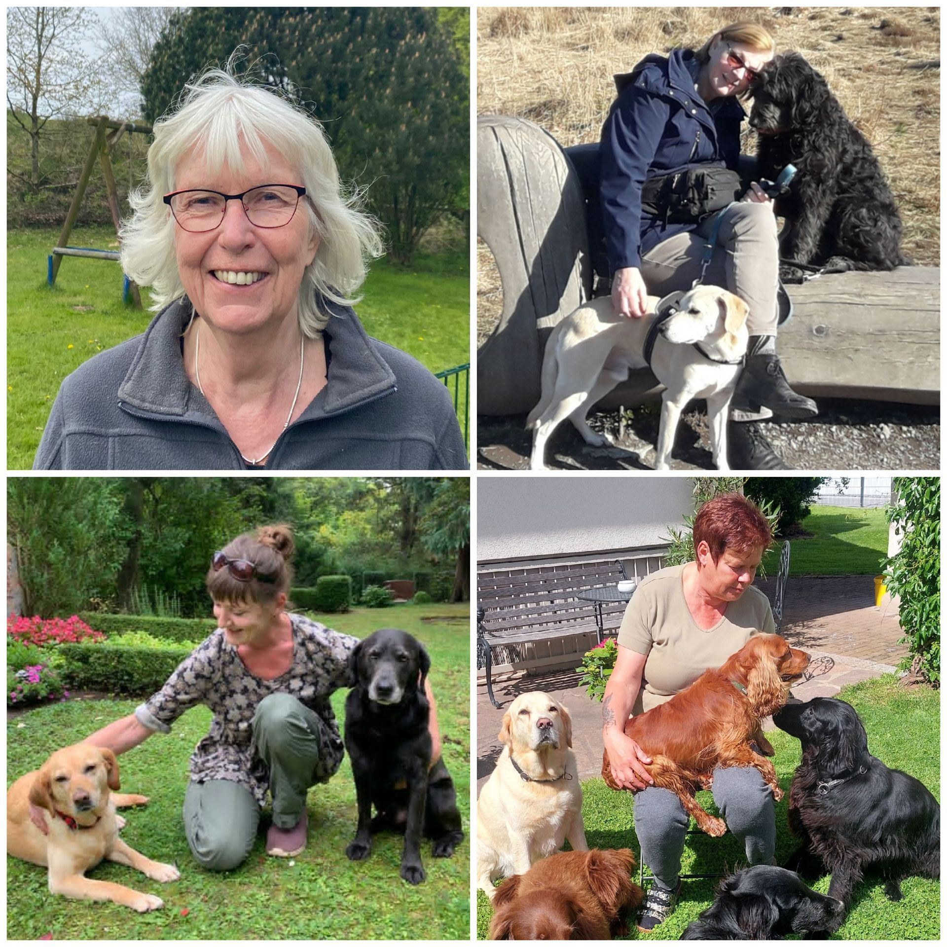 Das Team für unsere Retriever-Pflegestellen