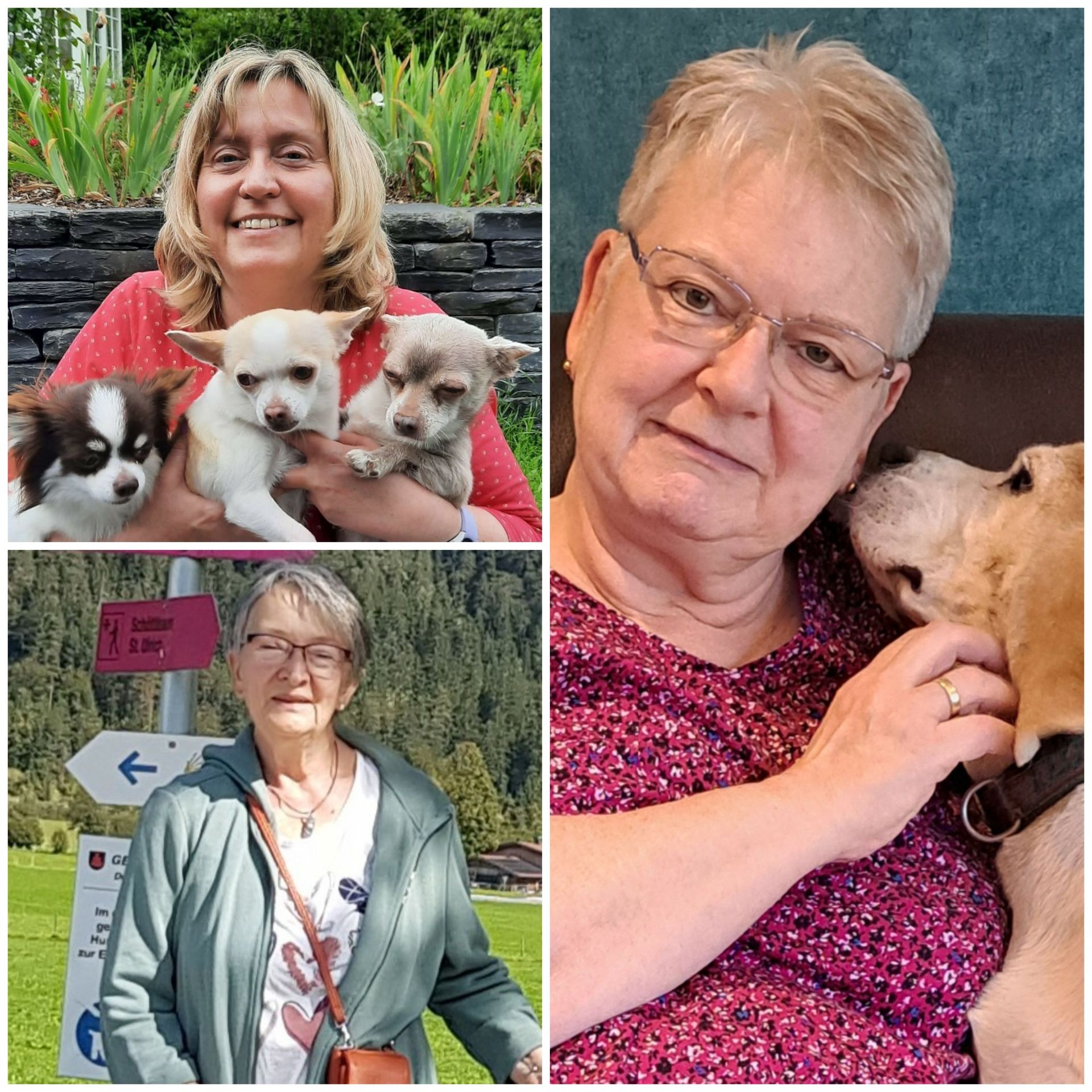 Das Team für unsere Liberty-Pflegestellen