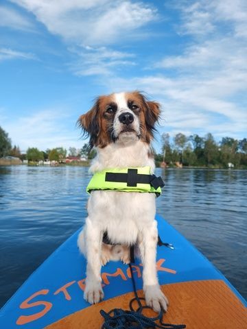 Gundo von der Kette auf's SUP