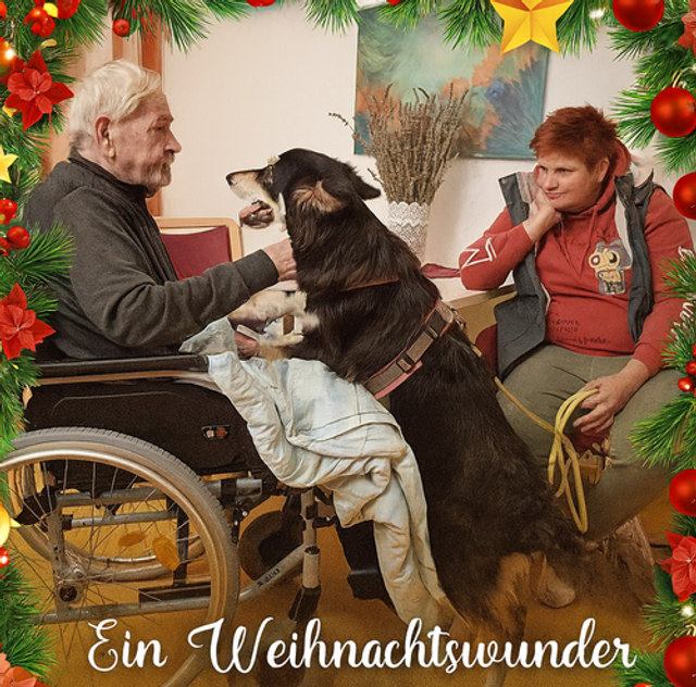 Türchen Nr. 12 - Ein Weihnachtswunder für Blue