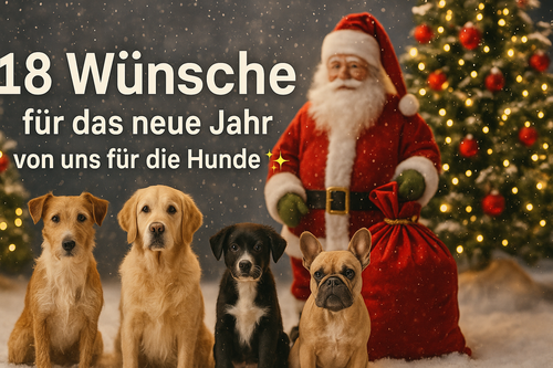 Türchen Nr. 18 – 18 Wünsche für das neue Jahr