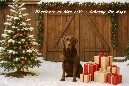 Türchen Nr. 1 – Gemeinsam beginnt die Weihnachtszeit 