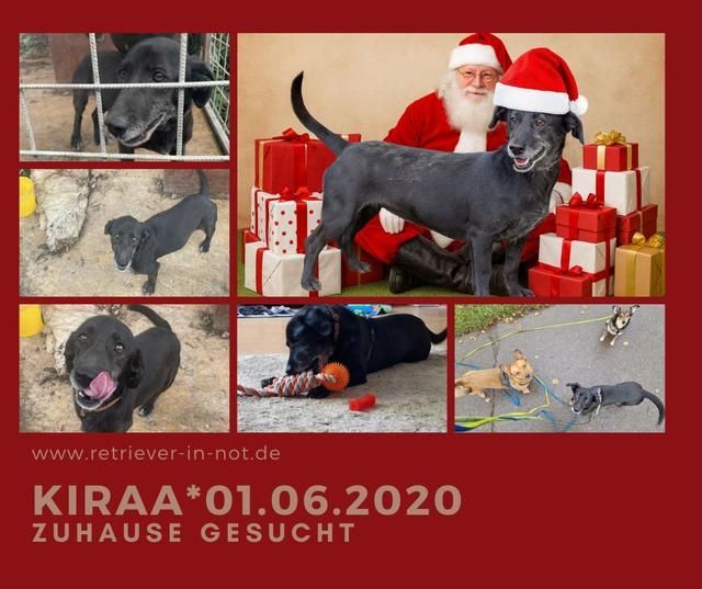 Türchen Nummer 6 - Kiraas Nikolauswunsch