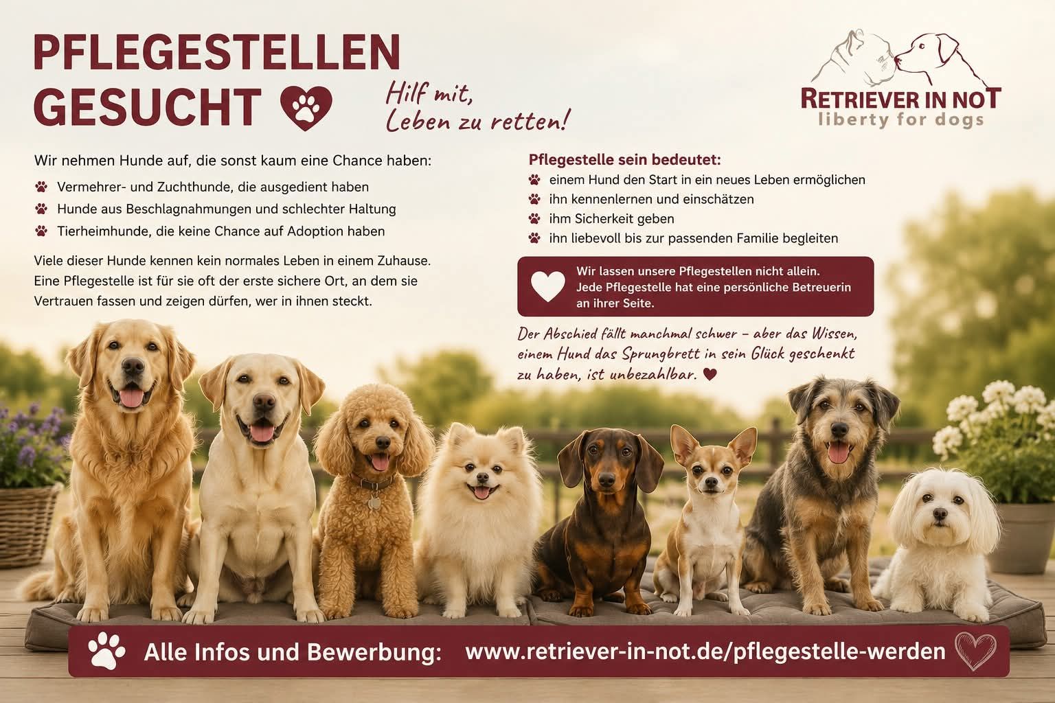 Pflegestelle werden